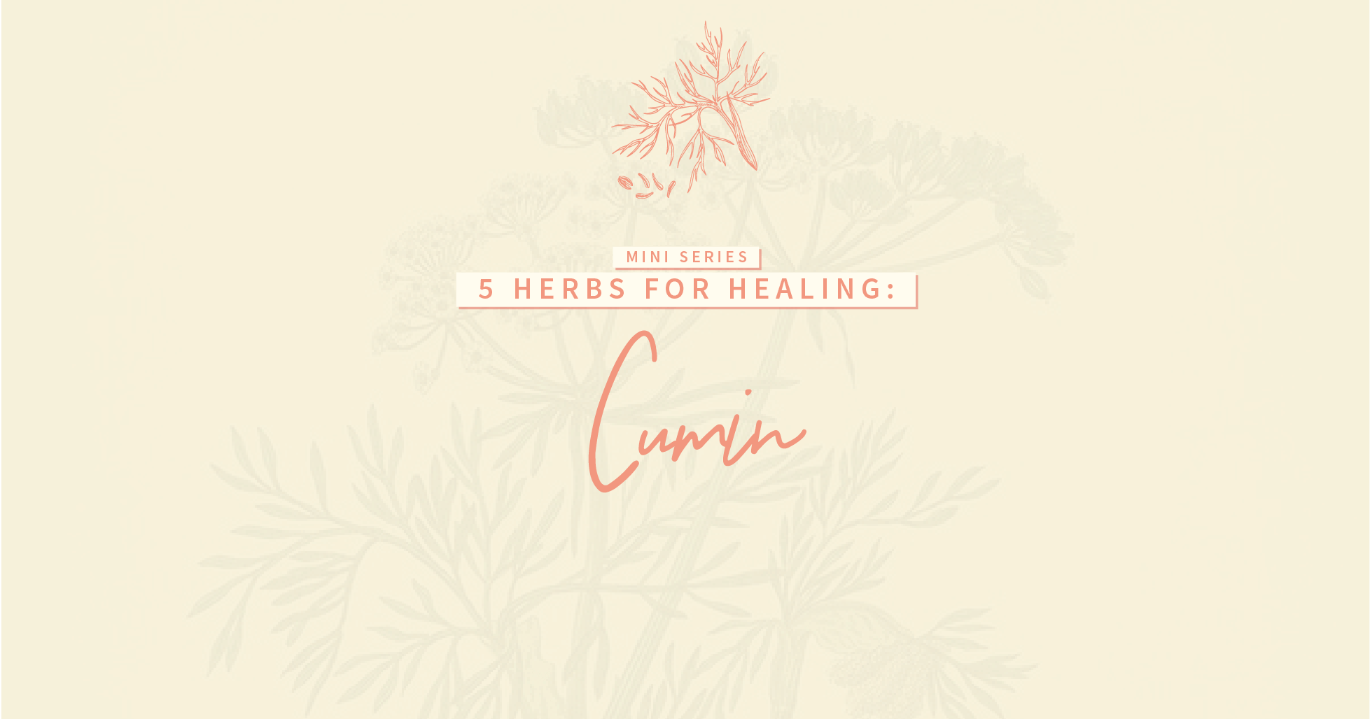5 Herbs for Healing: Cumin