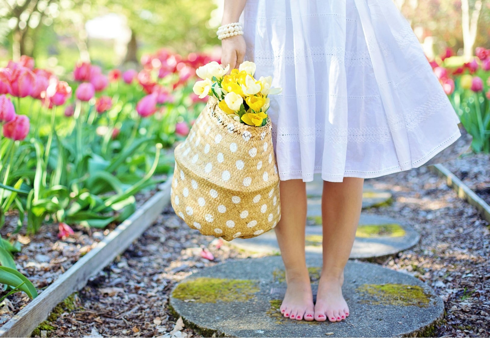 Spring’s Floral Favorites: Must-Have Flowers For A Vibrant Garden