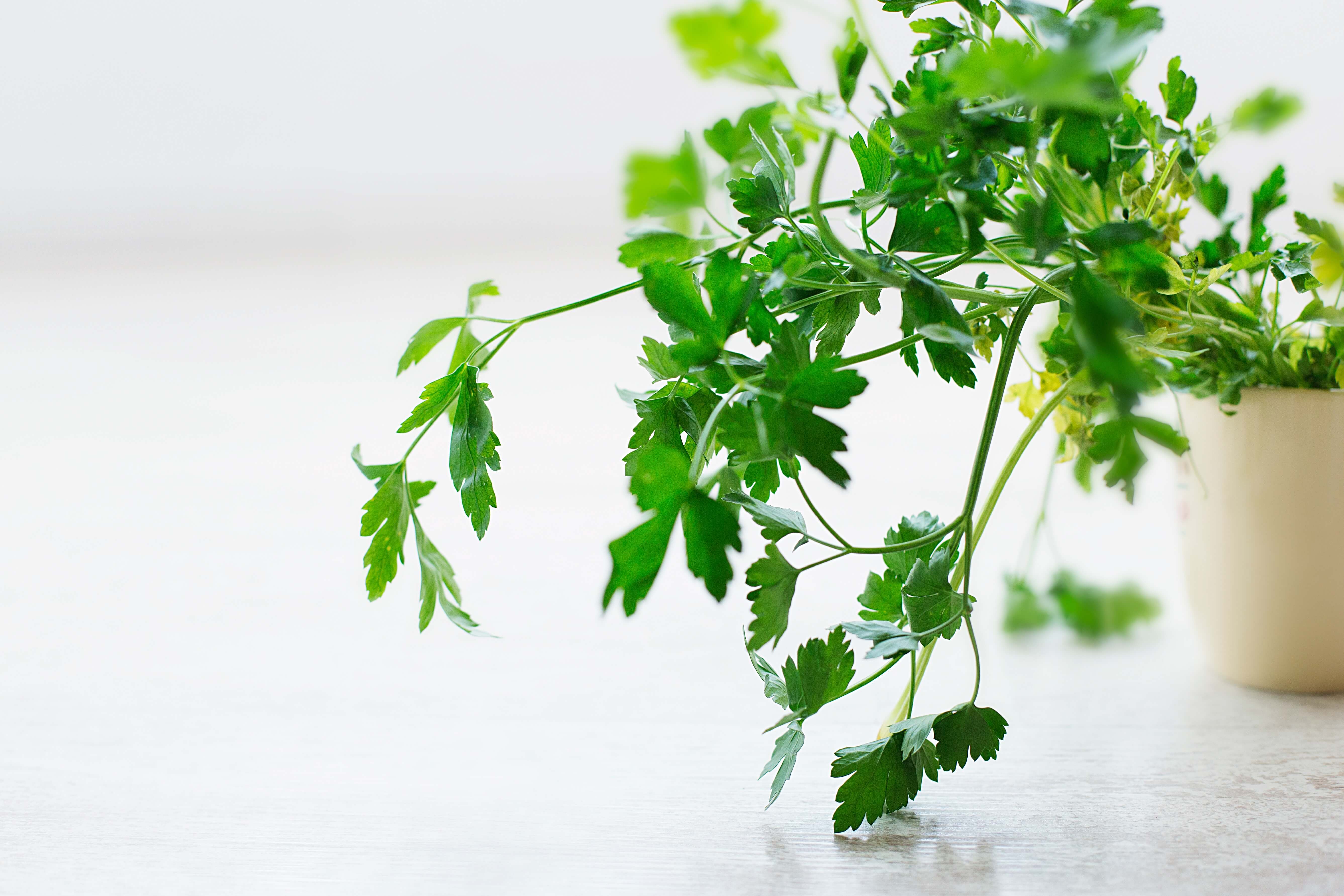 Pass the Parsley!
