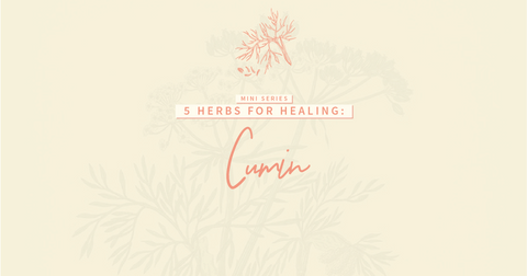 5 Herbs for Healing: Cumin