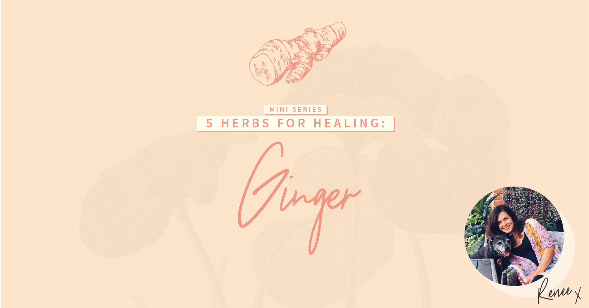 5 Herbs for Healing: Ginger