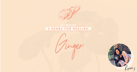 5 Herbs for Healing: Ginger
