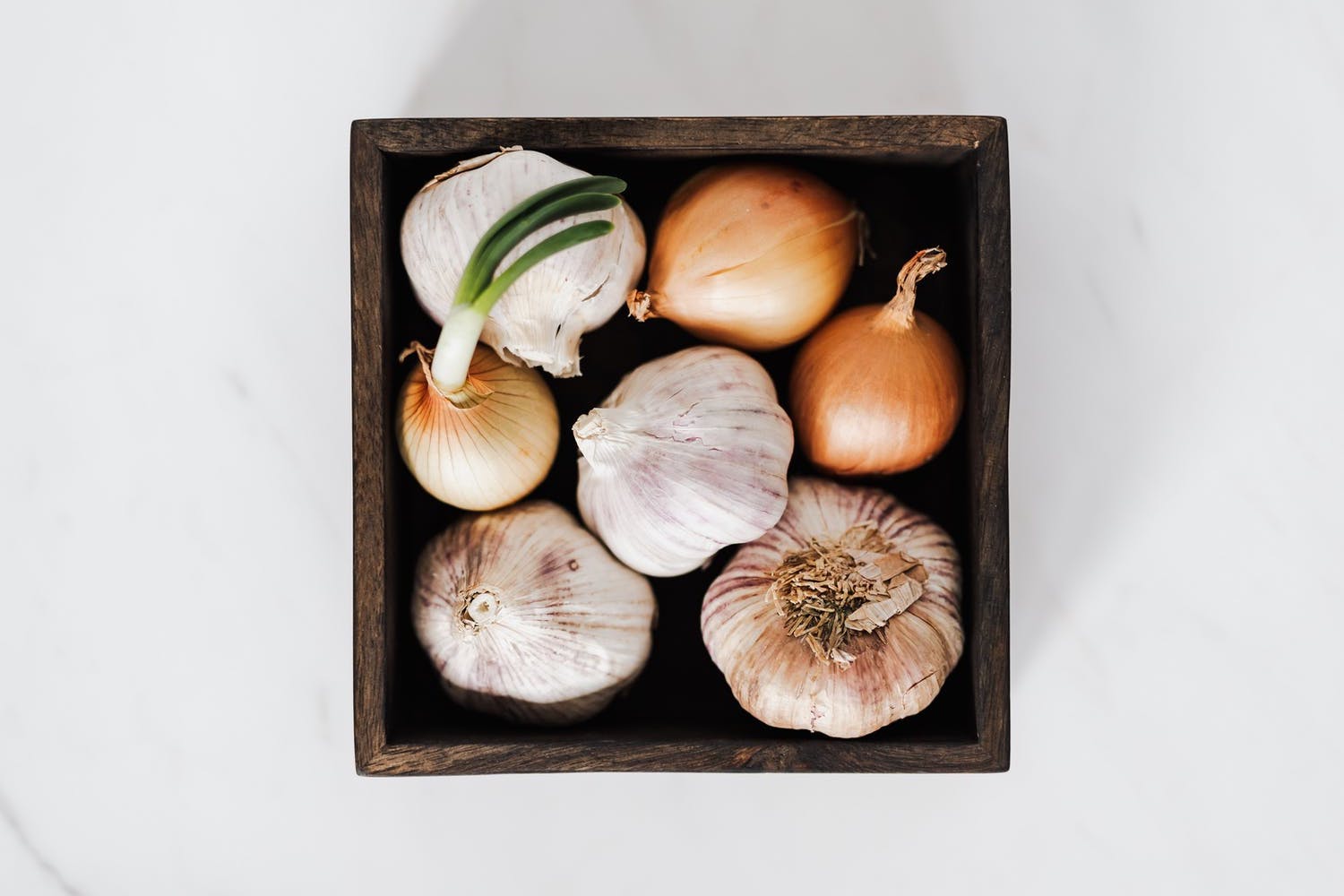 Onion Family: Basic Healing Properties