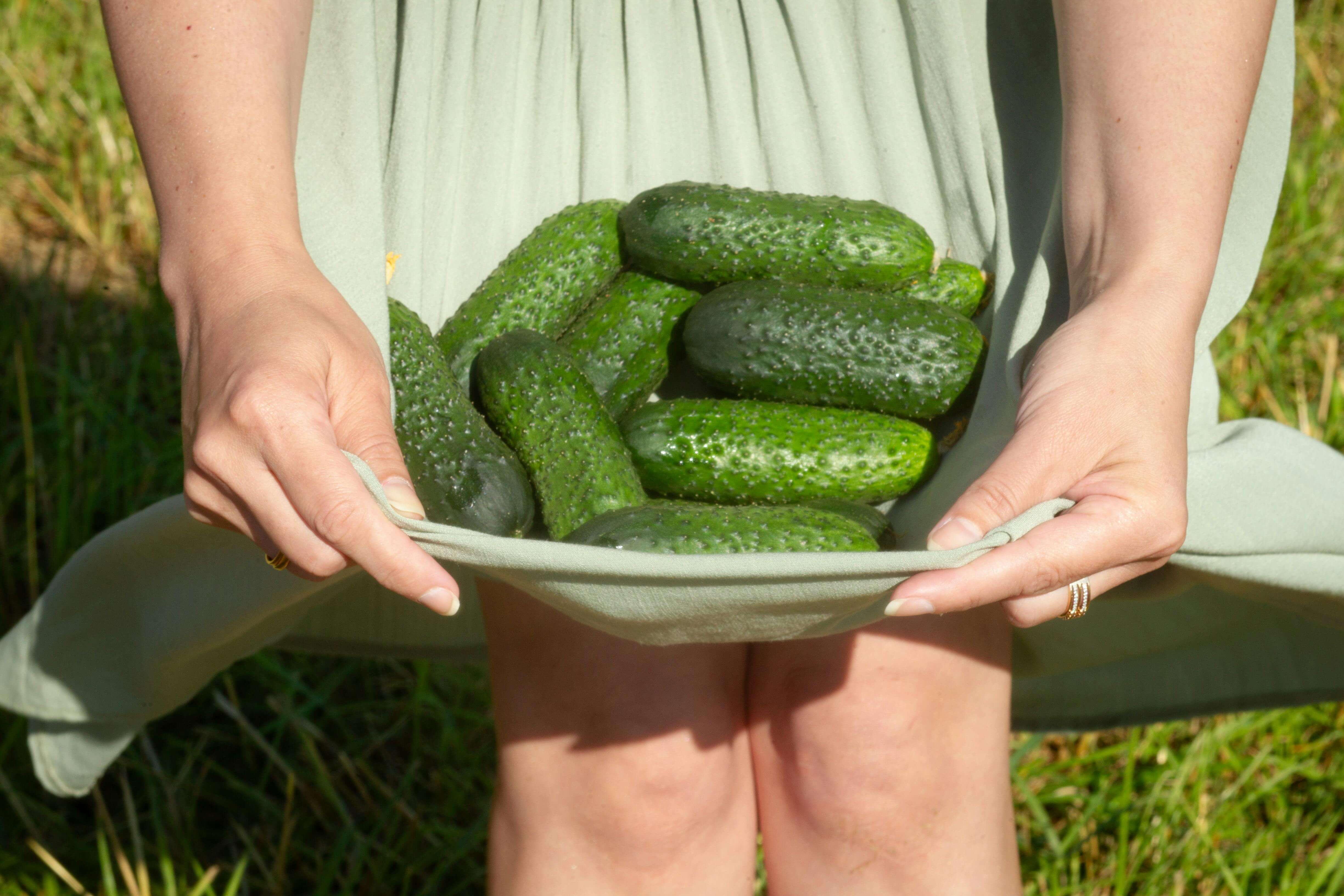 Seasonal Freshness: Spring Ingredients for a Nourished You