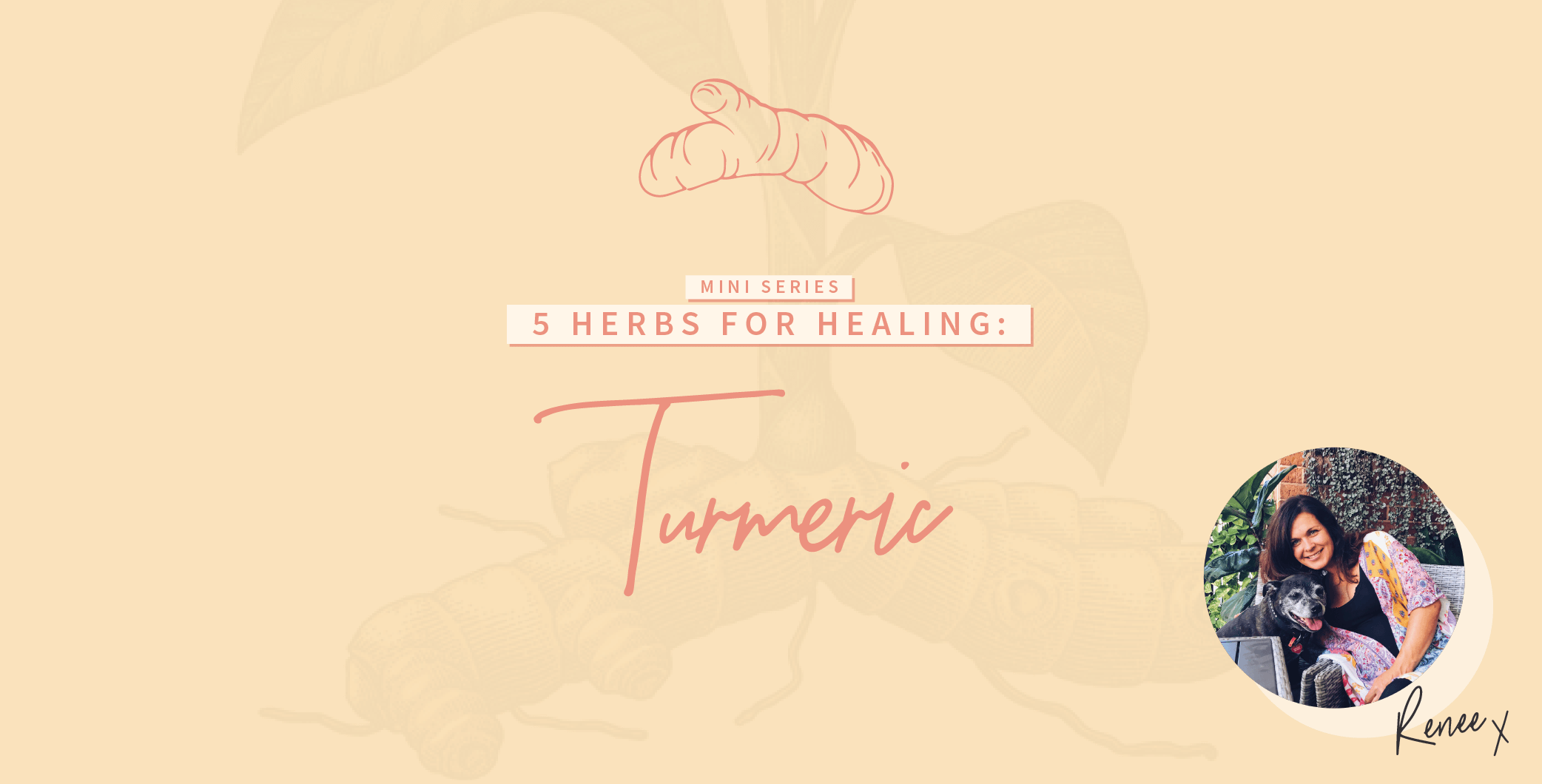 5 Herbs for Healing: Turmeric